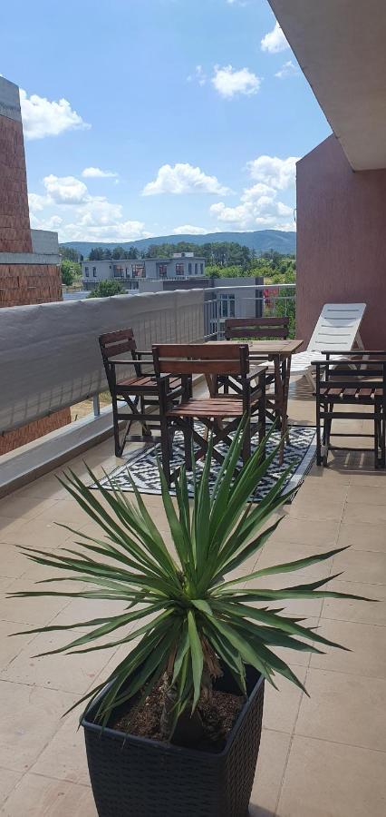 Guest house Compass Lozenets