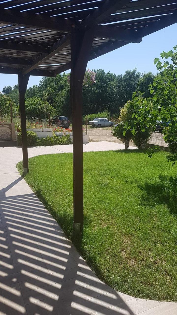 компас